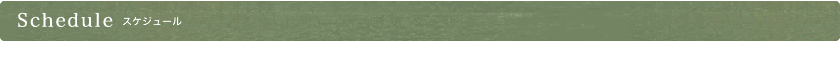 スケジュール 